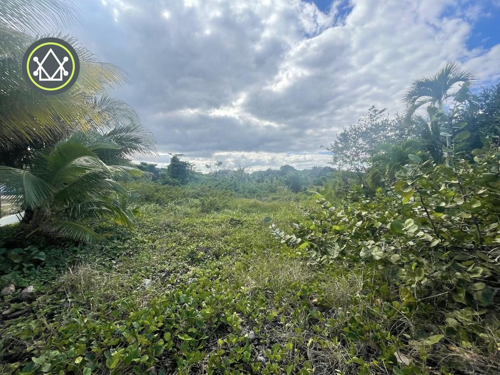 listing image with ID 89098