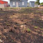 listing image thumbnail with ID 97565