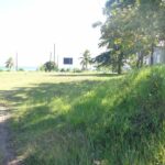 listing image thumbnail with ID 81704