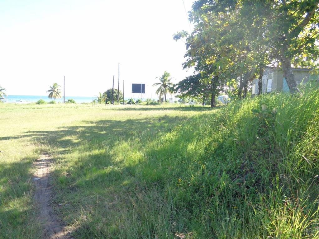 listing image with ID 81704