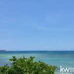 listing image thumbnail with ID 93946