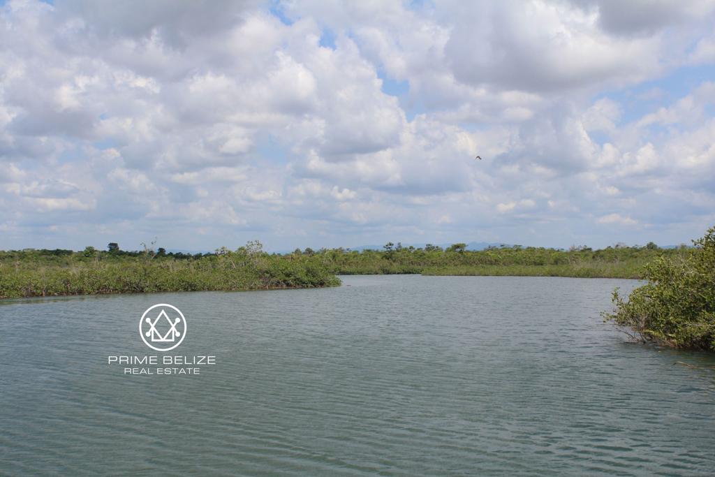 listing image with ID 96111