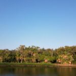 listing image thumbnail with ID 83854