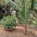 listing image thumbnail with ID 106610