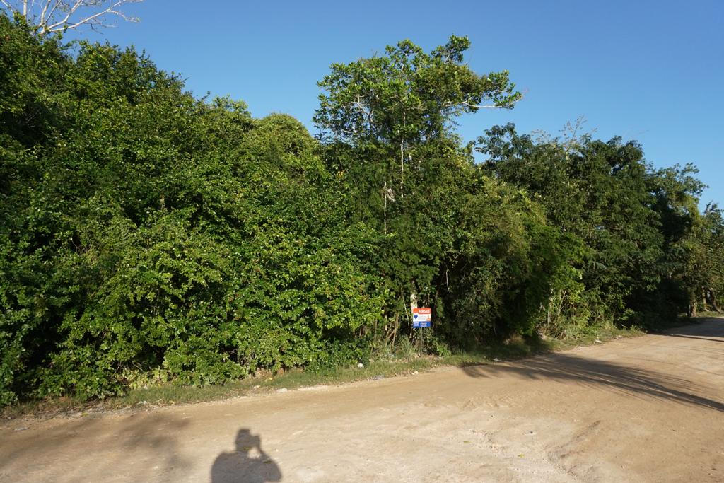 listing image with ID 76116