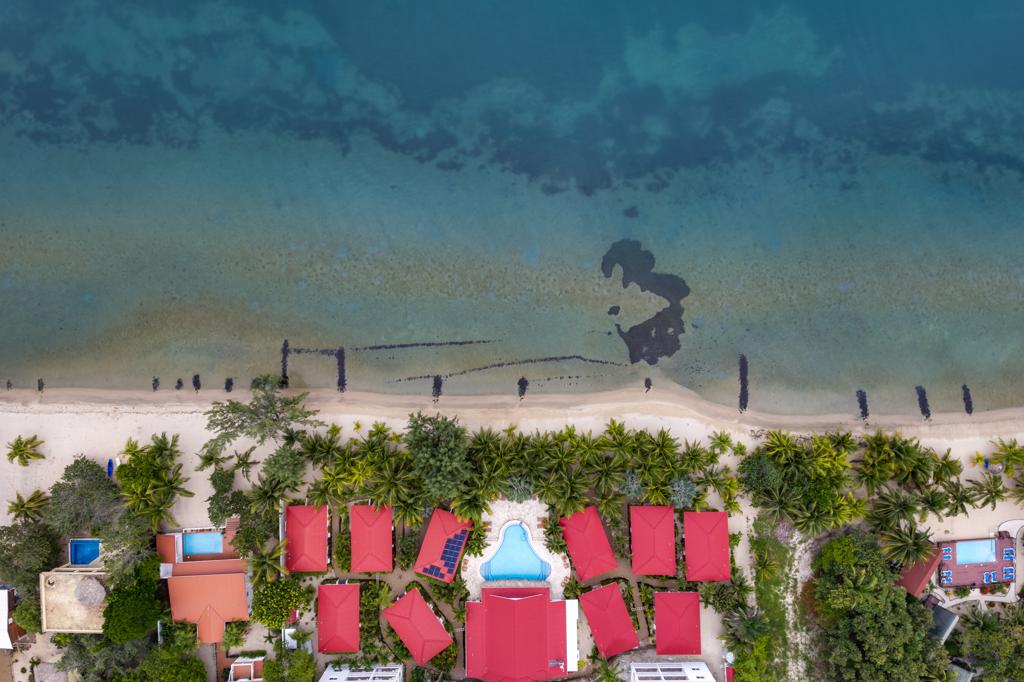 listing image with ID 75755