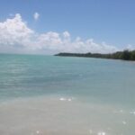 listing image thumbnail with ID 94612