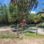 listing image thumbnail with ID 87124