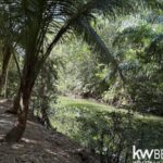 listing image thumbnail with ID 108697