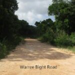 listing image thumbnail with ID 105842