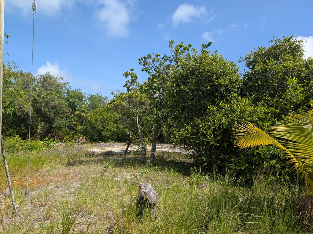 listing image with ID 78363