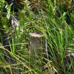 listing image thumbnail with ID 108599