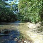 listing image thumbnail with ID 98946
