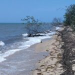 listing image thumbnail with ID 84955