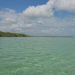 listing image thumbnail with ID 100224