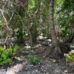 listing image thumbnail with ID 96785