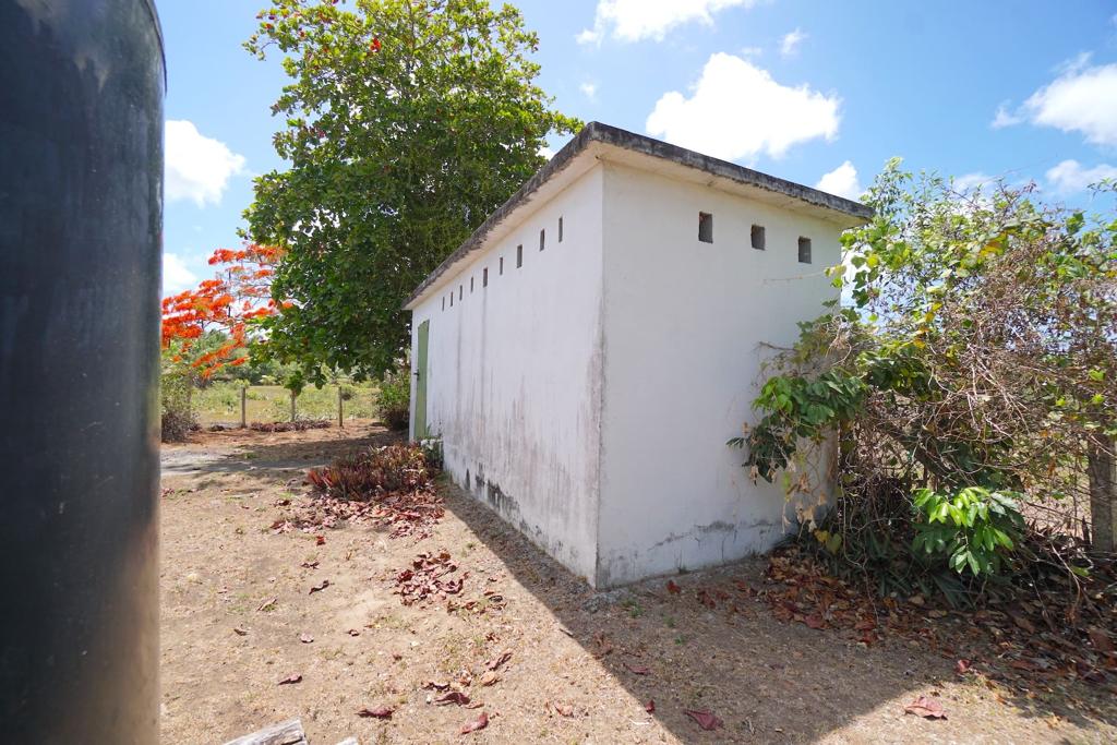 listing image with ID 92486