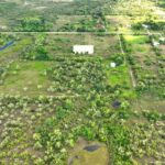 listing image thumbnail with ID 109194