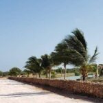 listing image thumbnail with ID 106482