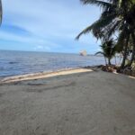 listing image thumbnail with ID 95886