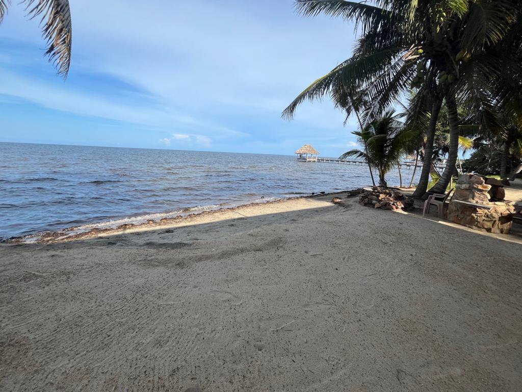 listing image with ID 95886