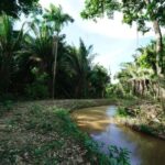 listing image thumbnail with ID 105748