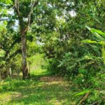 listing image thumbnail with ID 102595
