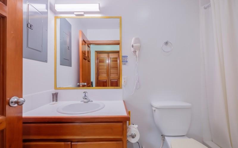 listing image with ID 90600