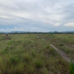 listing image thumbnail with ID 100769