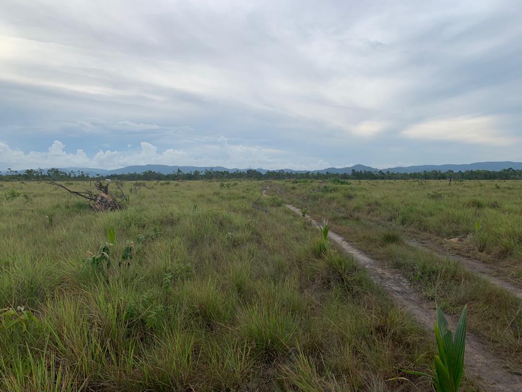 listing image with ID 100769
