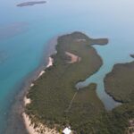 listing image thumbnail with ID 99599