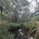 listing image thumbnail with ID 80864