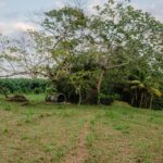 listing image thumbnail with ID 97111