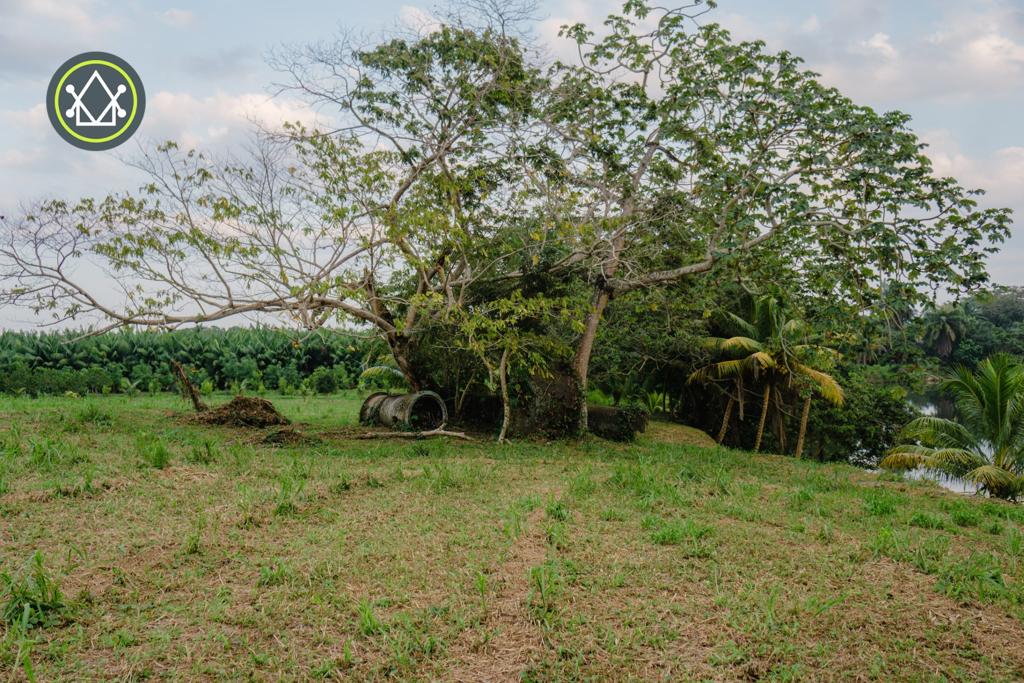listing image with ID 97111