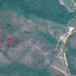 listing image thumbnail with ID 91915