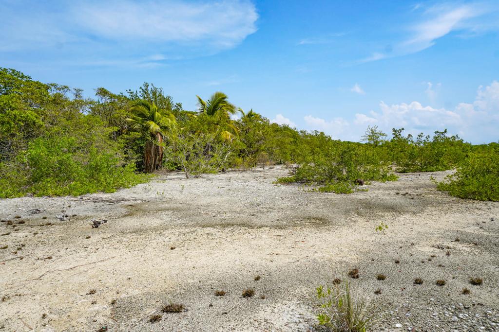 listing image with ID 74665