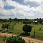 listing image thumbnail with ID 106591