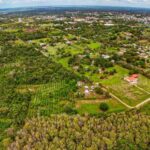 listing image thumbnail with ID 88945