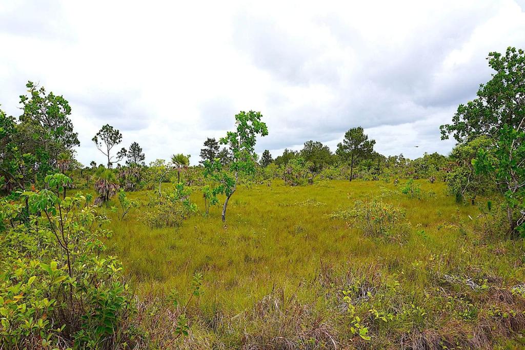 listing image with ID 82661