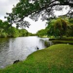 listing image thumbnail with ID 84005