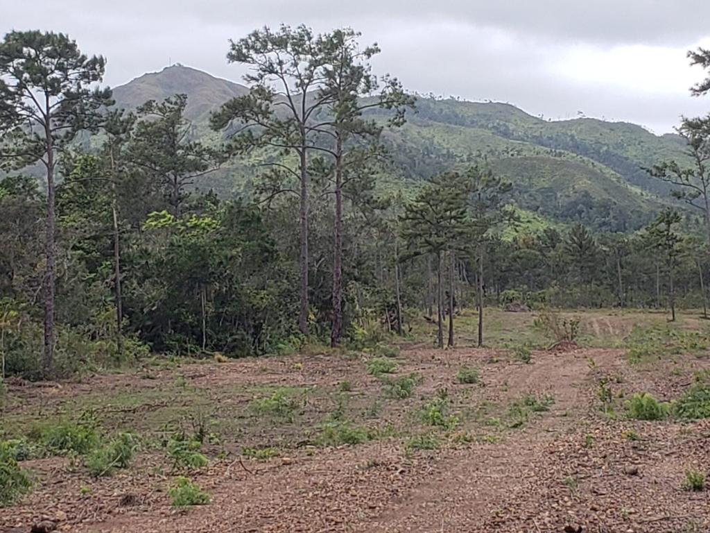 listing image with ID 87115