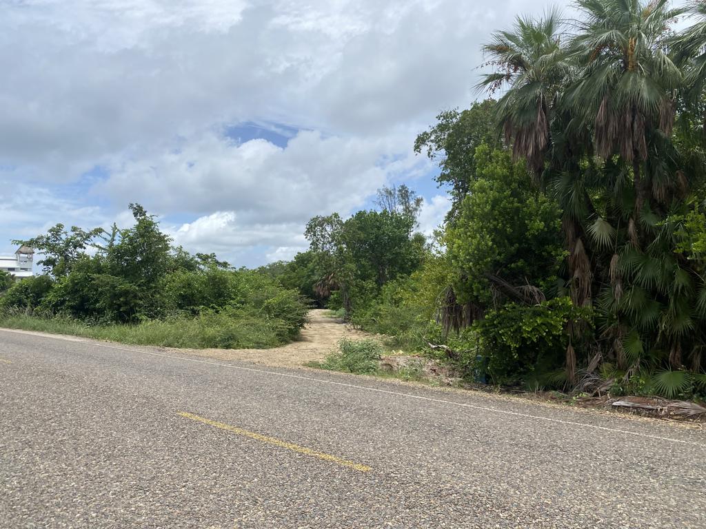 listing image with ID 76505