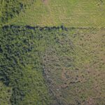 listing image thumbnail with ID 77563