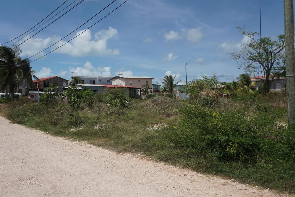 listing image with ID 83585