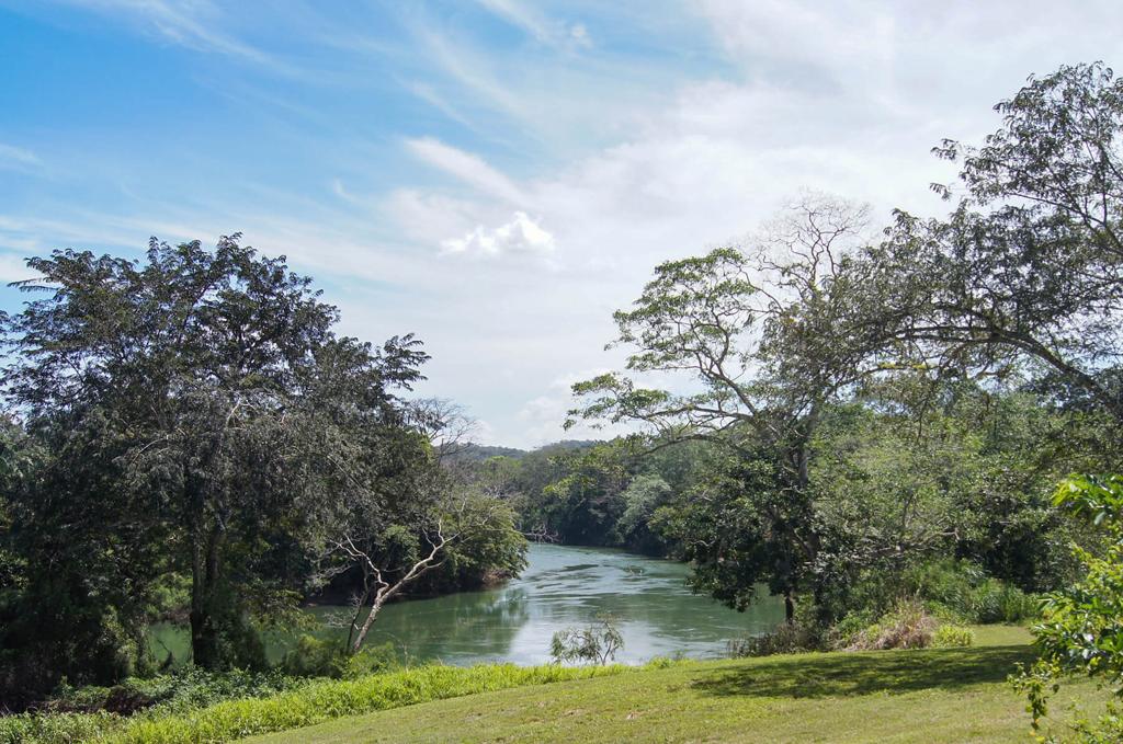 listing image with ID 95468