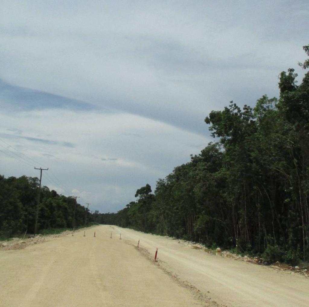 listing image with ID 75997