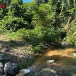 listing image thumbnail with ID 82954