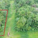 listing image thumbnail with ID 90897