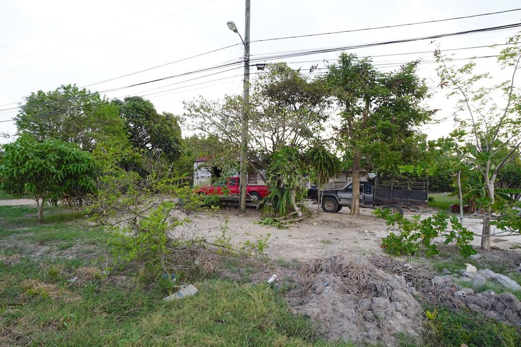 listing image with ID 107578