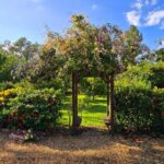 listing image thumbnail with ID 98173